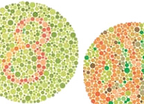 O que é daltonismo? Como é feito o diagnosticado?