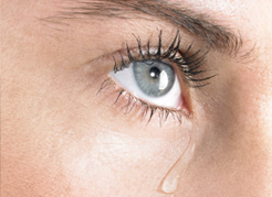 IOL - Blog - Vias lacrimais